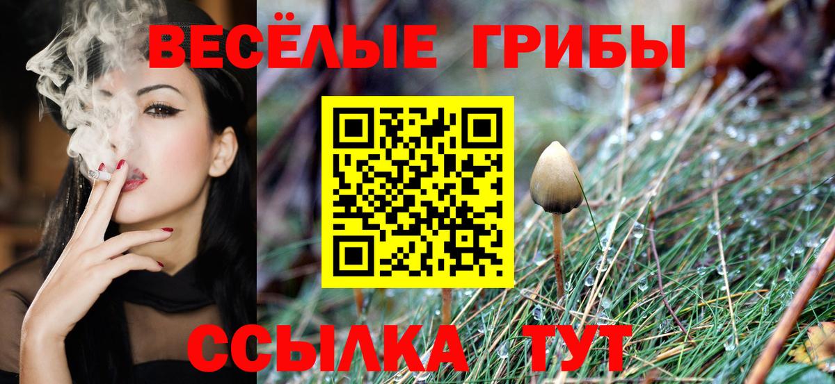 Галлюциногенные грибы мухоморы  Вход с VPN  Омск 